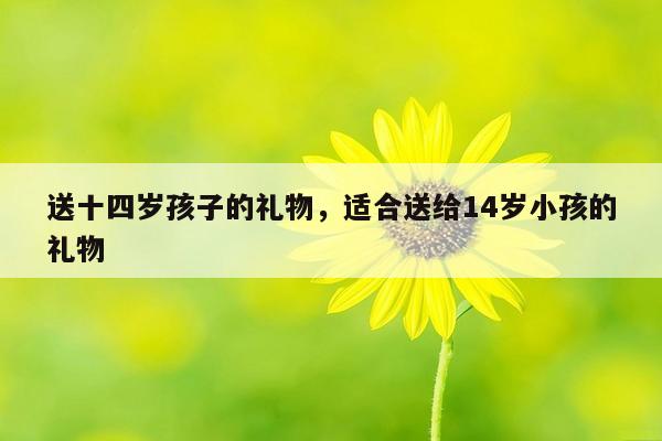 送十四岁孩子的礼物，适合送给14岁小孩的礼物