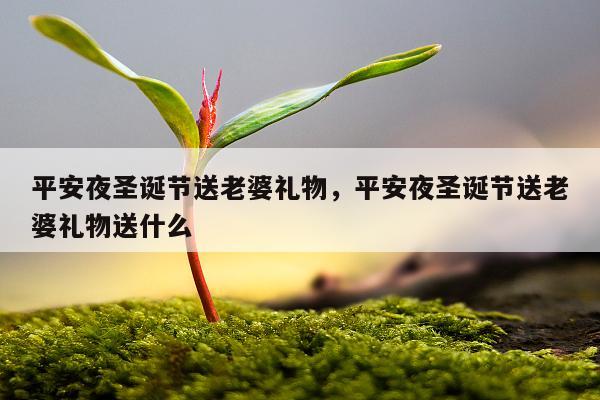 平安夜圣诞节送老婆礼物，平安夜圣诞节送老婆礼物送什么