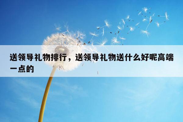 送领导礼物排行，送领导礼物送什么好呢高端一点的