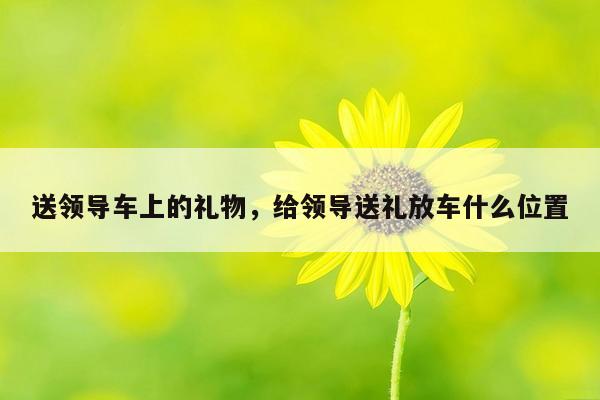 送领导车上的礼物，给领导送礼放车什么位置