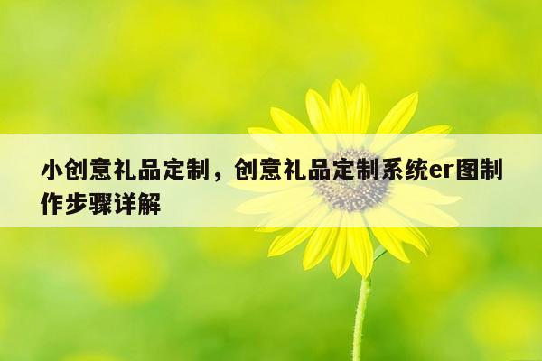 小创意礼品定制，创意礼品定制系统er图制作步骤详解