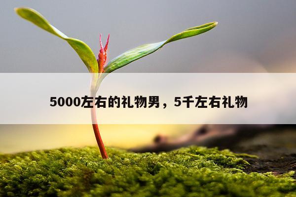 5000左右的礼物男，5千左右礼物