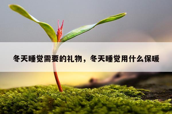 冬天睡觉需要的礼物，冬天睡觉用什么保暖