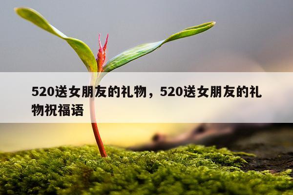 520送女朋友的礼物，520送女朋友的礼物祝福语