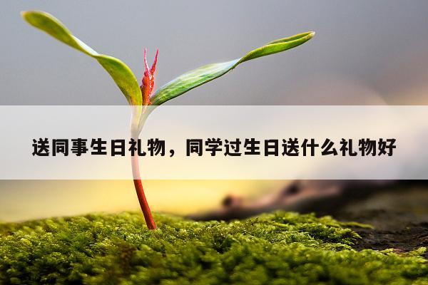 送同事生日礼物，同学过生日送什么礼物好