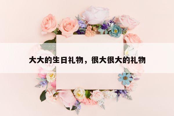 大大的生日礼物，很大很大的礼物