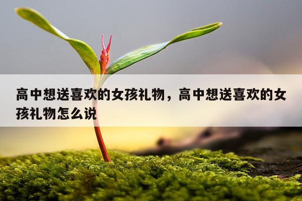 高中想送喜欢的女孩礼物，高中想送喜欢的女孩礼物怎么说