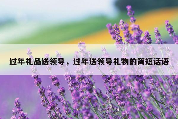 过年礼品送领导，过年送领导礼物的简短话语